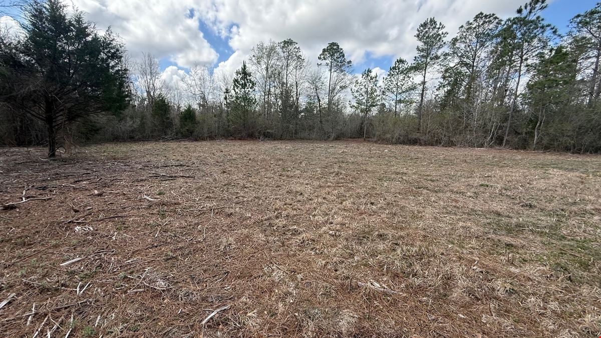 65 Acres Near Lake Seminole – Hunting and Recreation Land