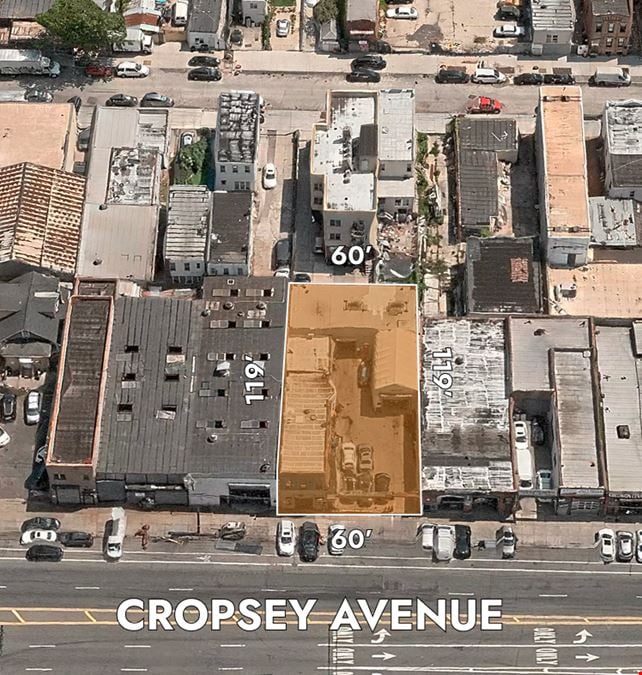 3101-3105 Cropsey Ave
