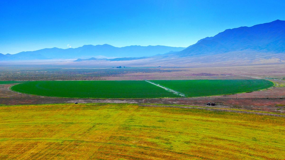 Nye County NV Alfalfa Farm with Pivots, Water Rights