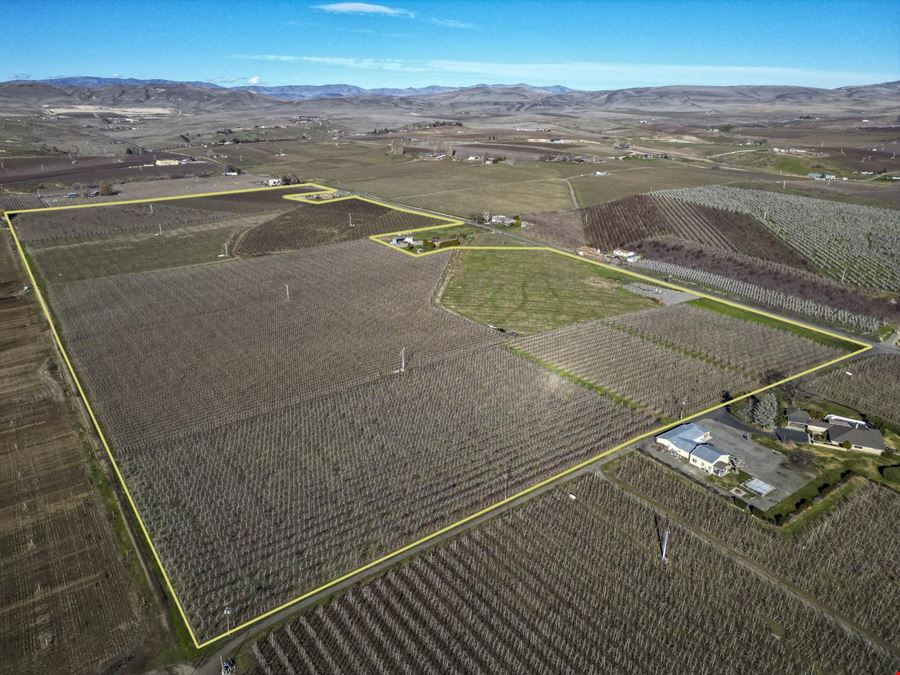 Occidental Orchards