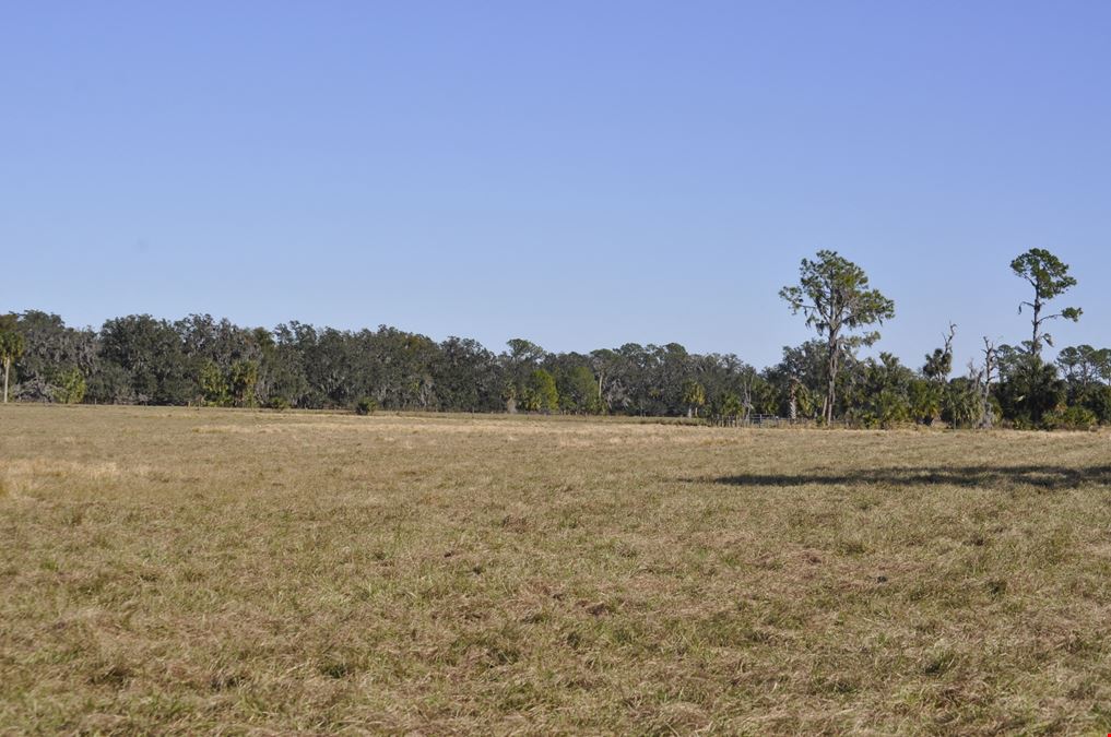 Palm Lake Ranch