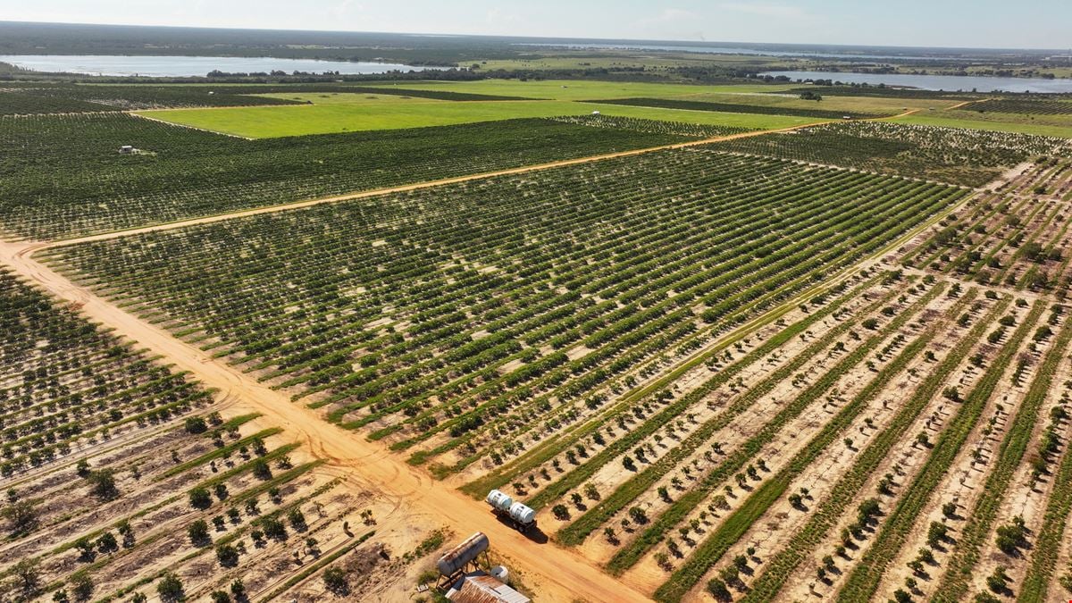 Auction - 584 Acres in Polk County