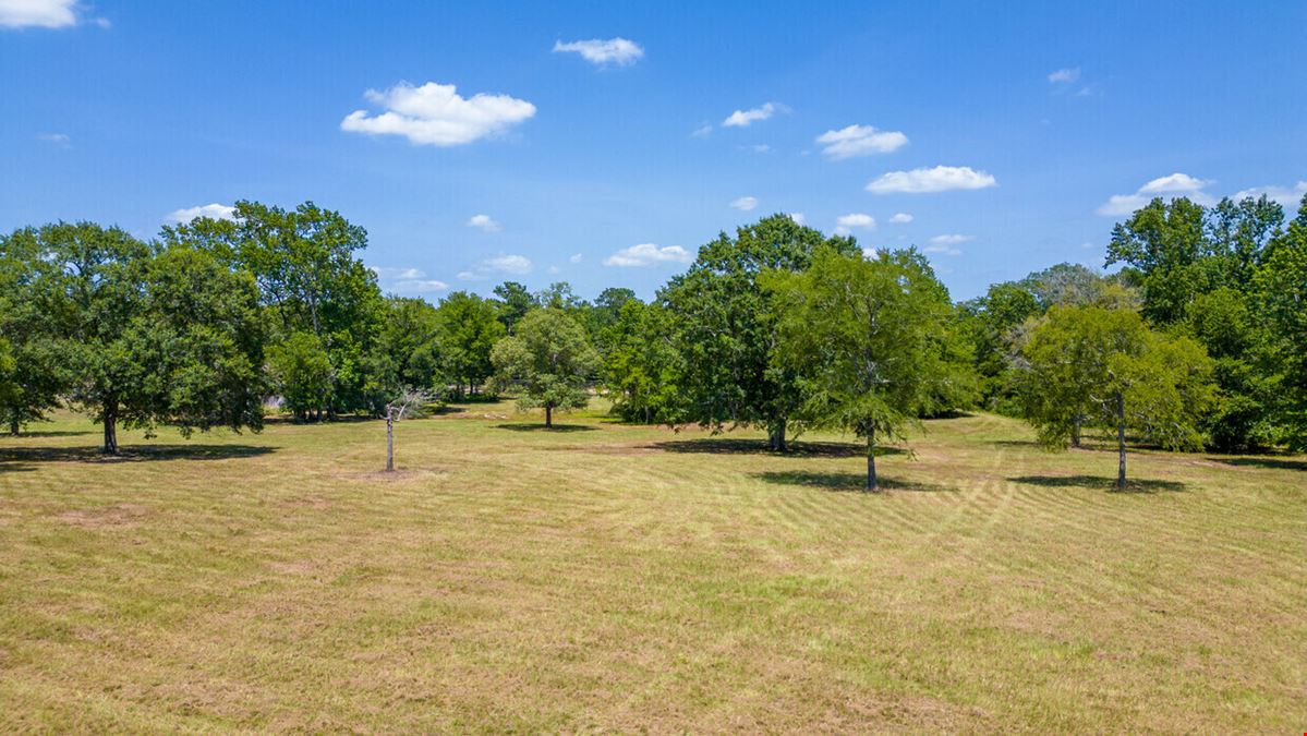 6 Acres on FM 1097