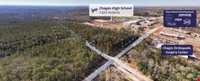 ±13.77 acres of development land for sale adjacent to Chapin High School