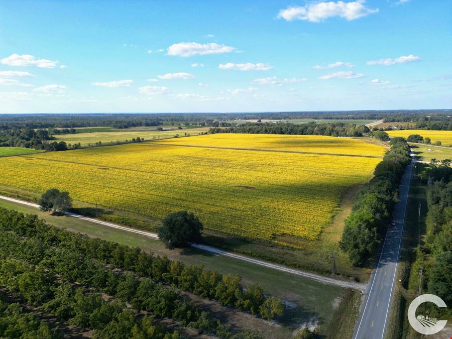 671 +/- Acres of Certified Organic Farmland in Decatur County, GA