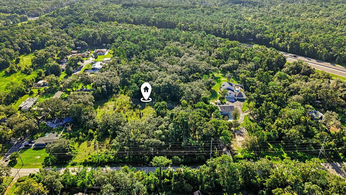 Lutz Premier Development Site