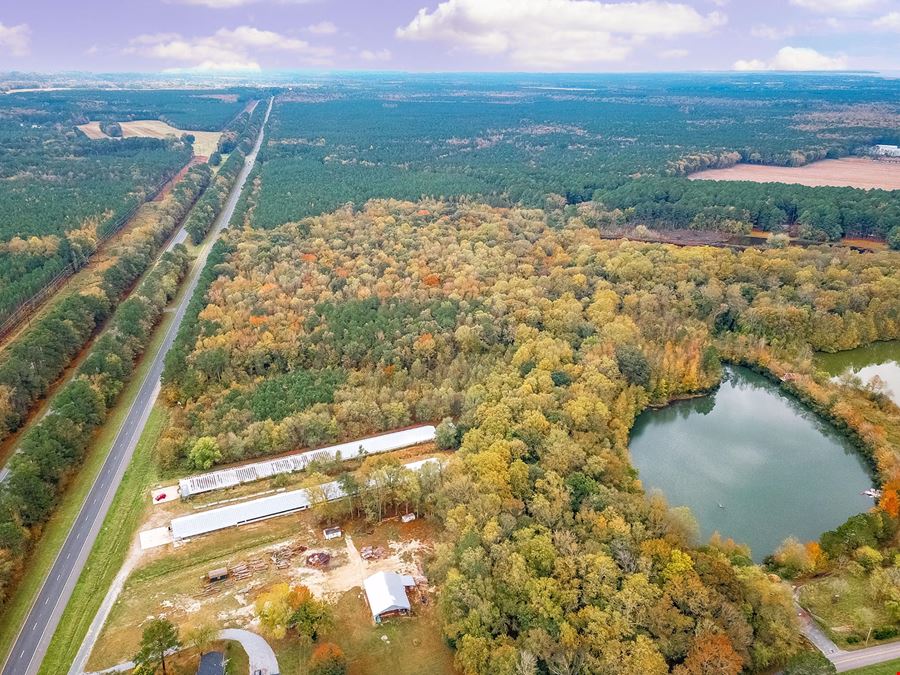 US Rt. 13 & Allen Road - 65.073 AR Land