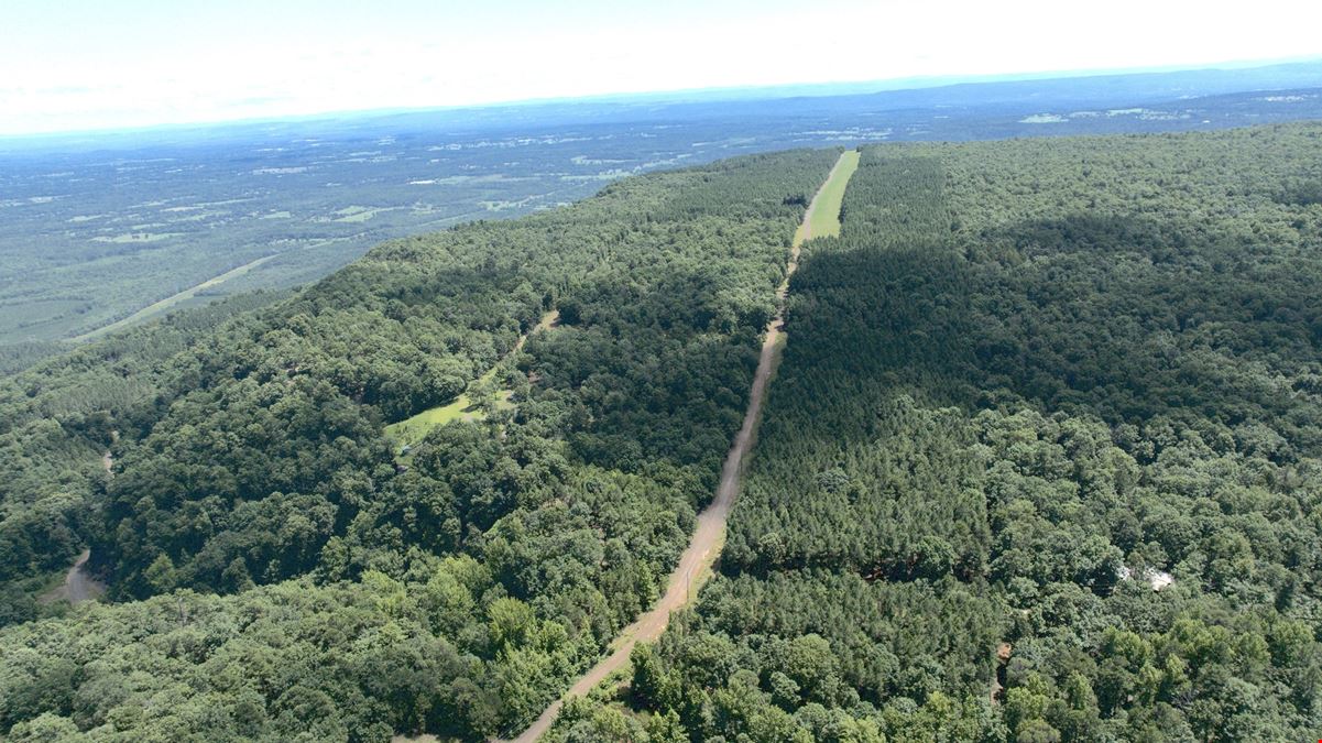 Spring Mountain Airstrip Lot