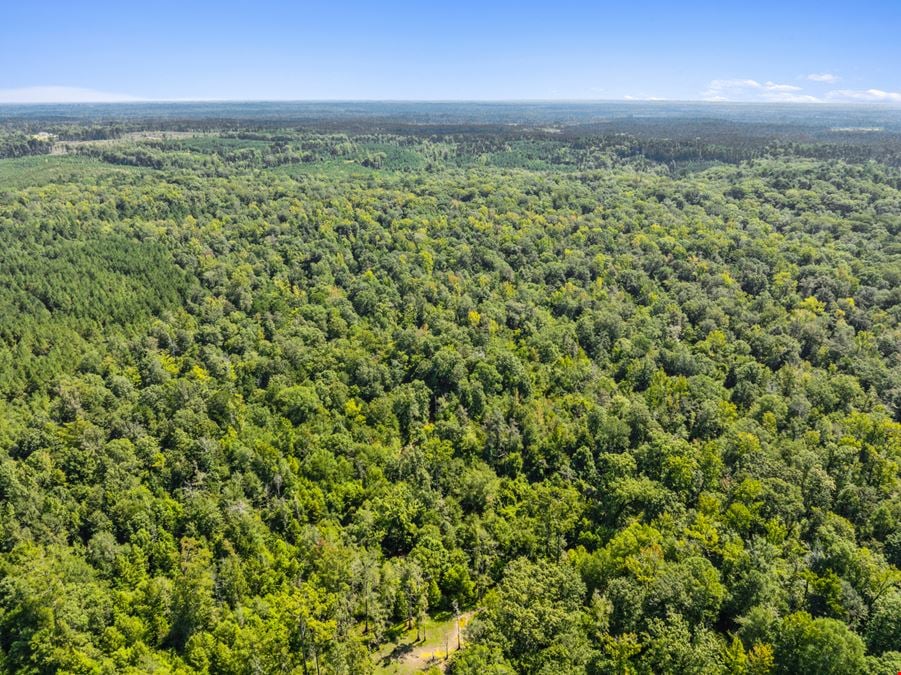 Recreation Land for Sale