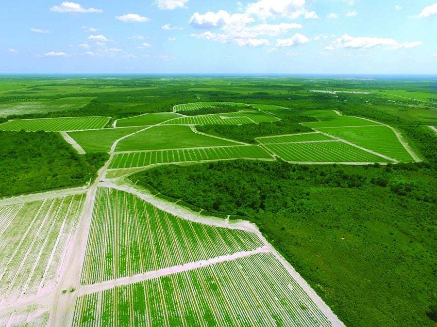 Manatee County Farm Land