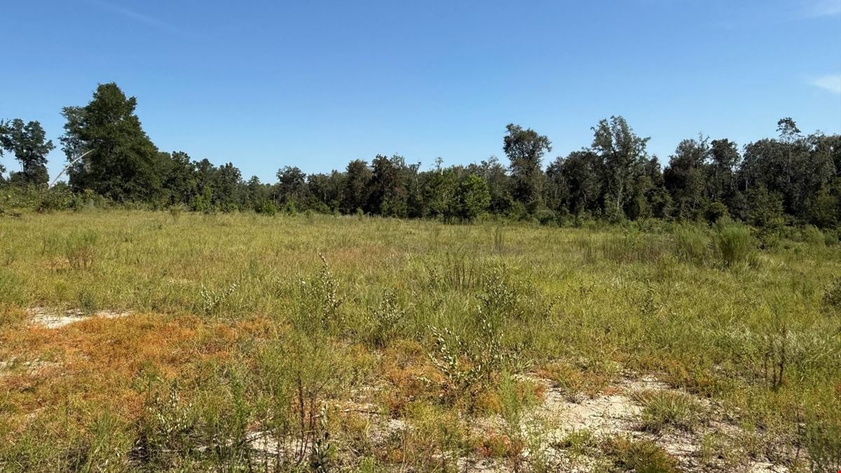 Ranch, Hunt & Invest: 280± Acres of Productive Timberland in SE Washington County