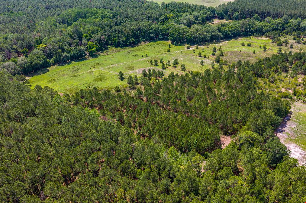 East Alachua County 35 Acre Recreation Tract