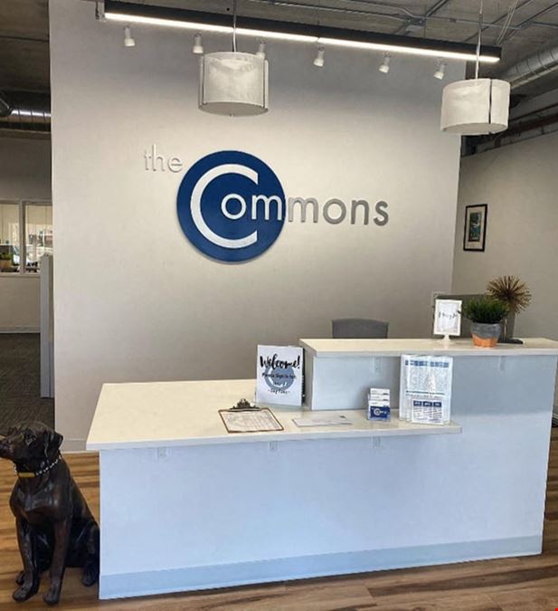 The Commons - WP