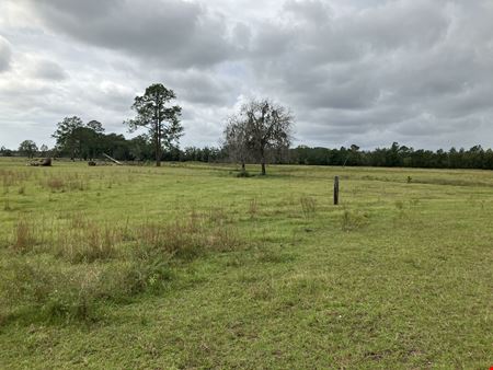 Preview of VacantLand space for Sale at 20241 Maxville-Macclenny Road