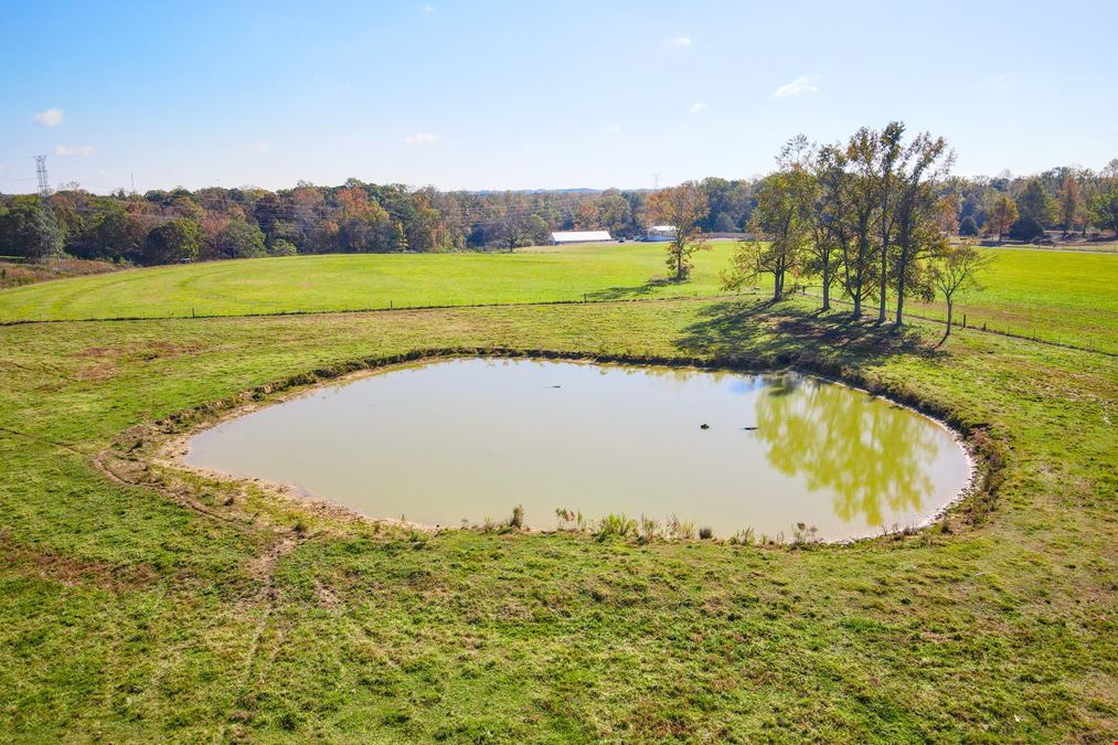 47.5 +/- AC Forest Chapel Rd