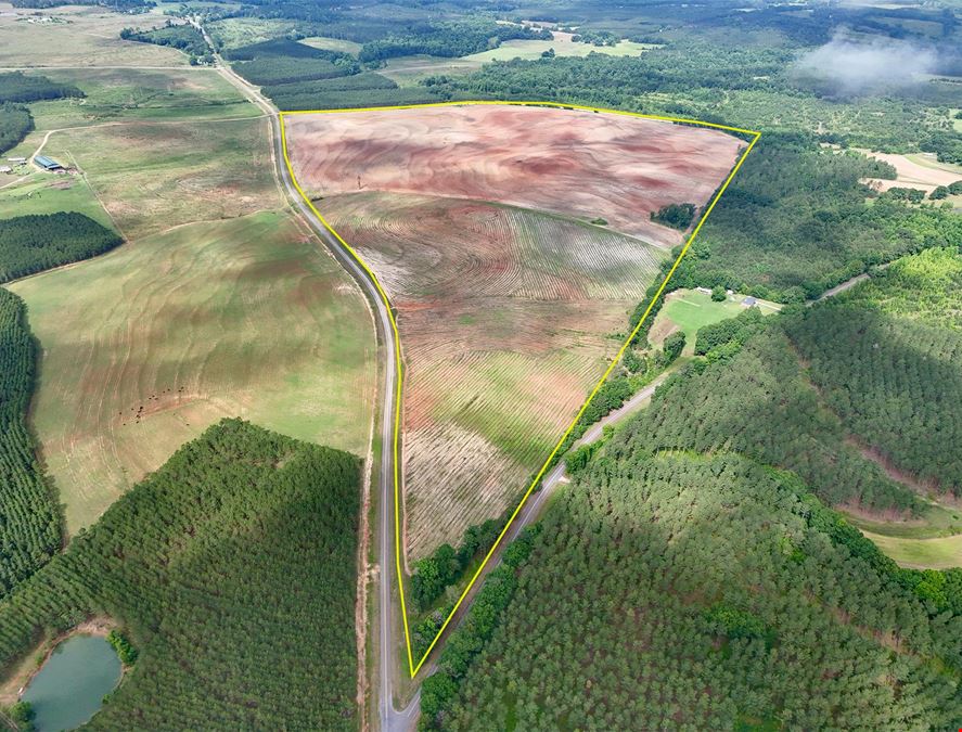 County Line Pasture Land