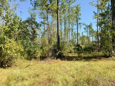 Preview of VacantLand space for Sale at 7210 U.S. 49