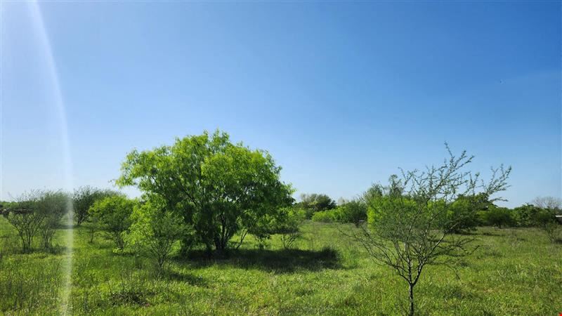 Four Adjoining Lots in Pattison