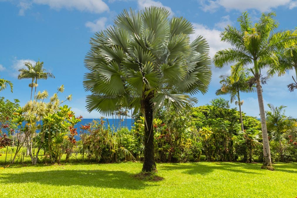 Luxurious Hawaiian Working Farm Retreat