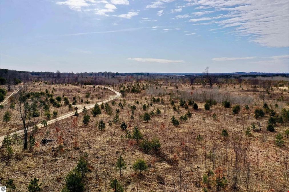 Over 200 Acres of Vacant Land for Development
