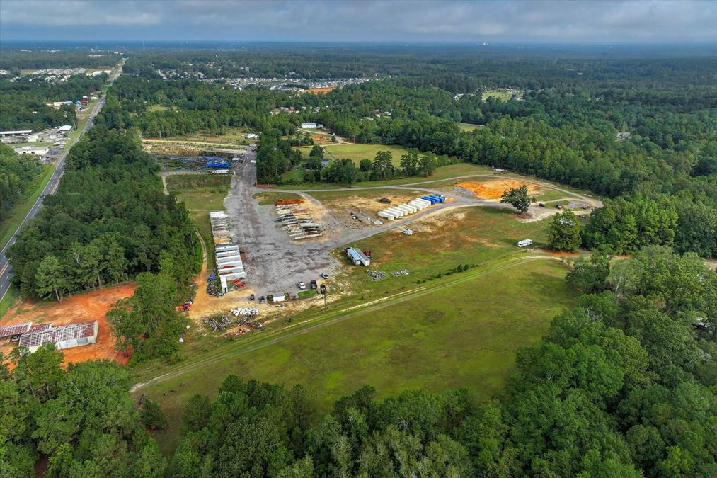 Southern Carolina Palms & More - Nursery & Landscape