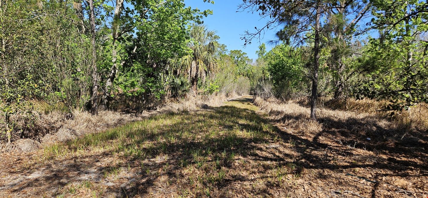 47± Scenic Wooded Acres with Trails, Wildlife, and Lake Access