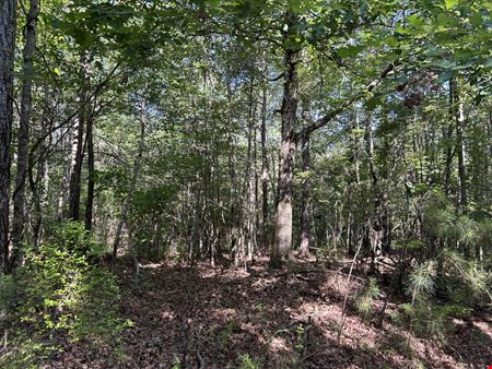Preview of VacantLand space for Sale at Alabama 21