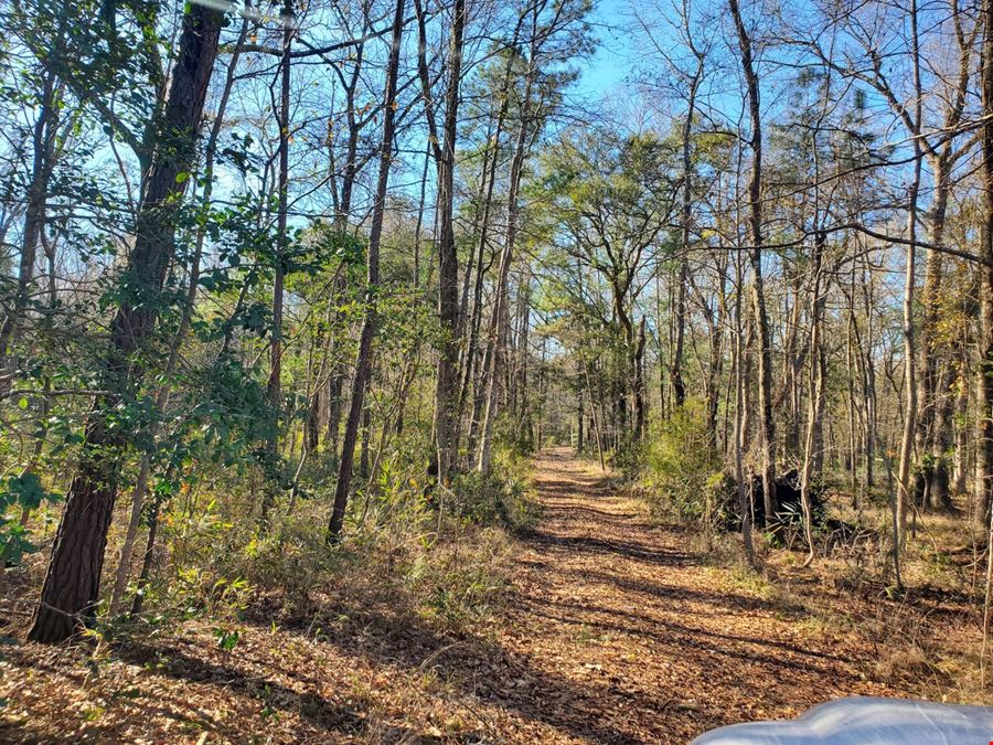 Commercial Sale 25 Acres For Sale in Meggett