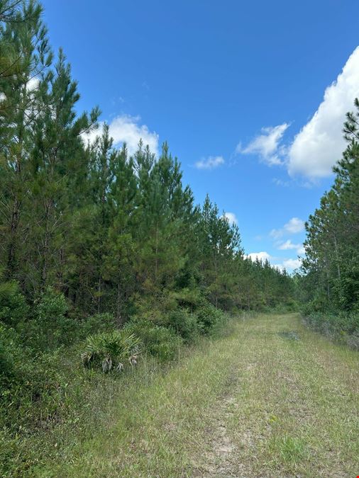 Dunn Creek Tract