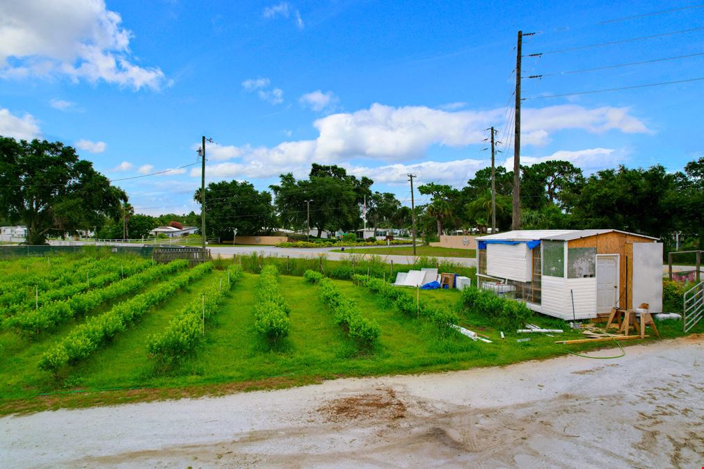 Organic Farm