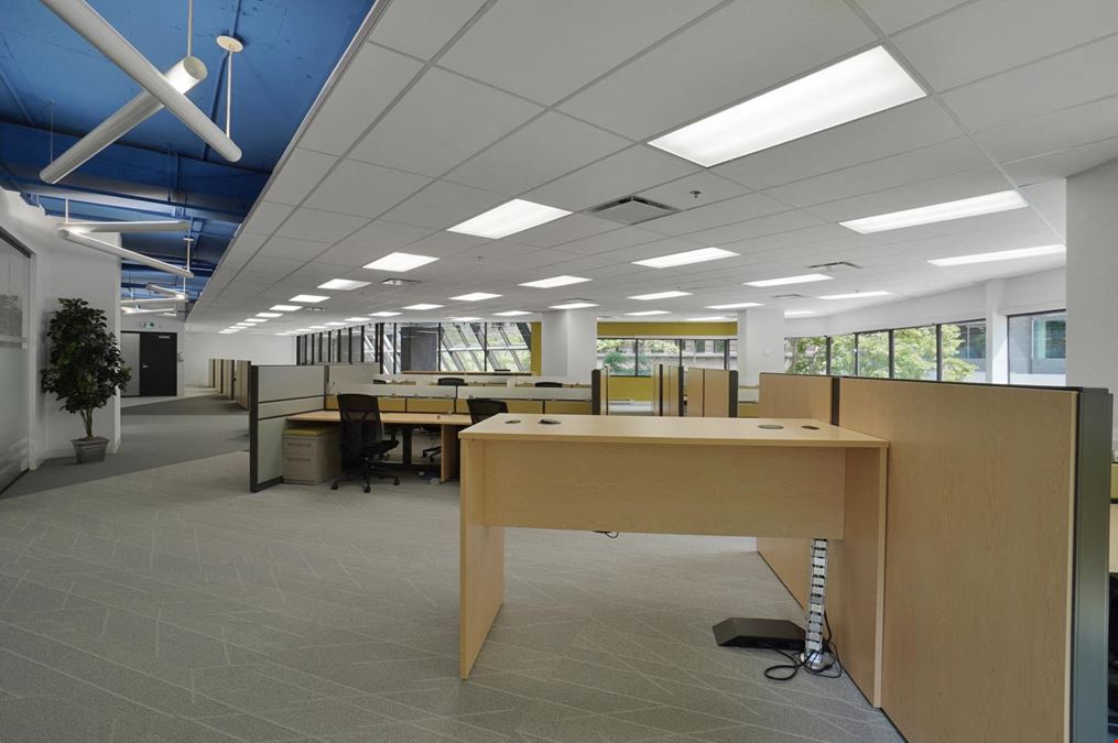 425 de Maisonneuve