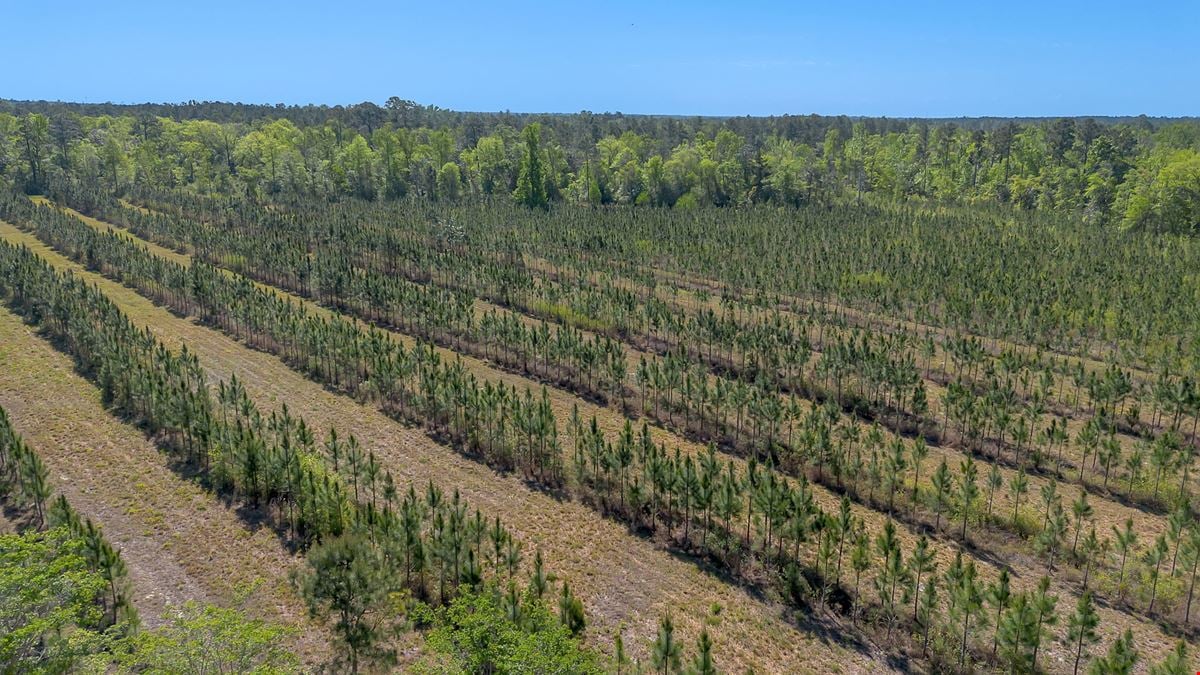41+/- AC Residence, Farm, Timber + 1200 SF & 1800 SF storage buildings