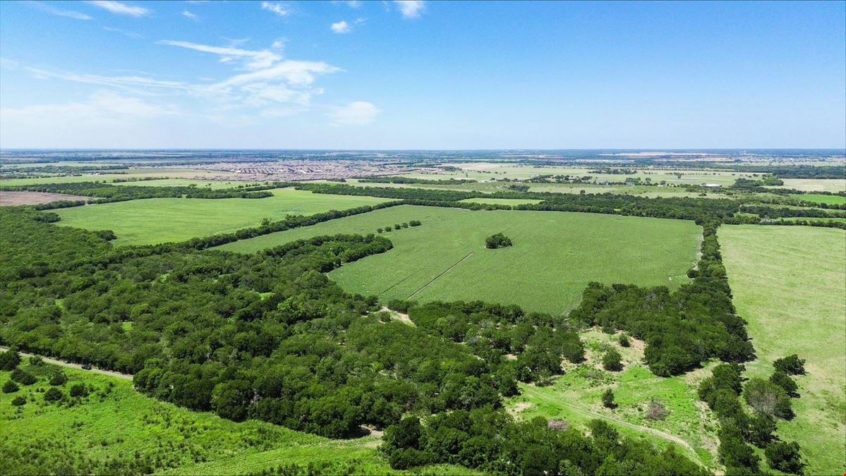 110 Acres for Sale in Royse City