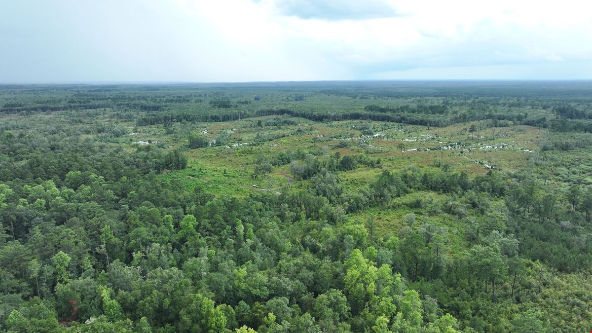 Camden Satilla River Tract