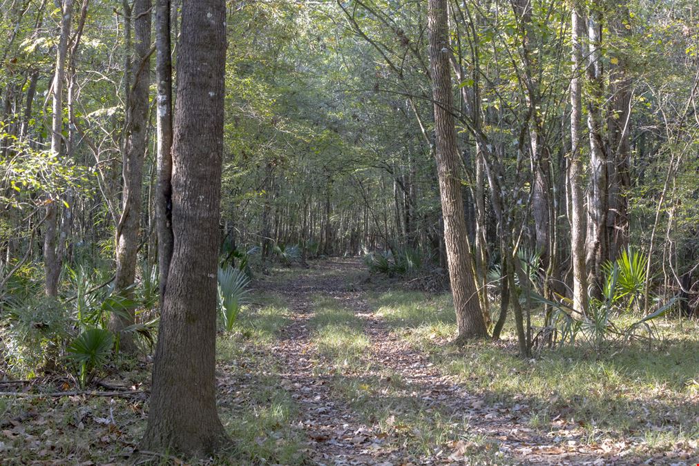 Dodge County River Property