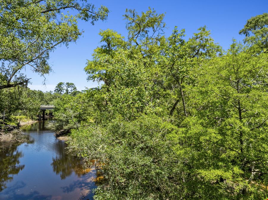 Withlacoochee River Timber and Hunting