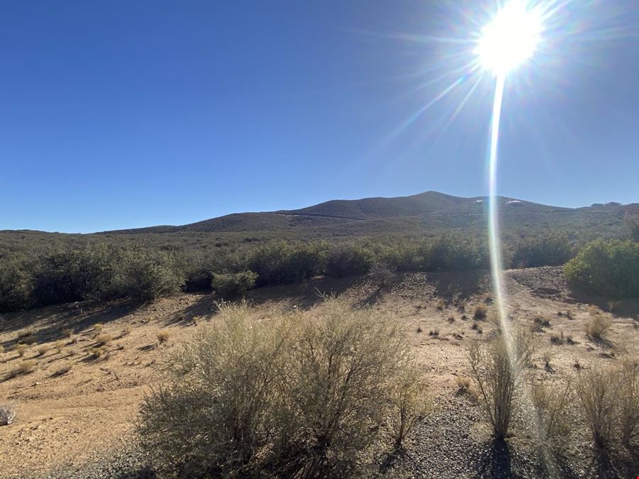 Arizona Land No Reserve Land Auction