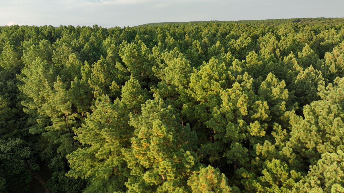 380 Acres in Crawford County Arkansas