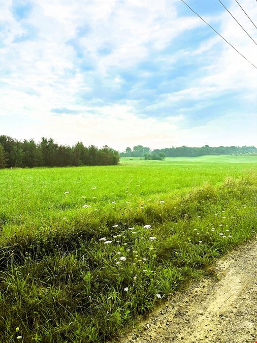49.86 Acres AG Vacant Land in Chelsea