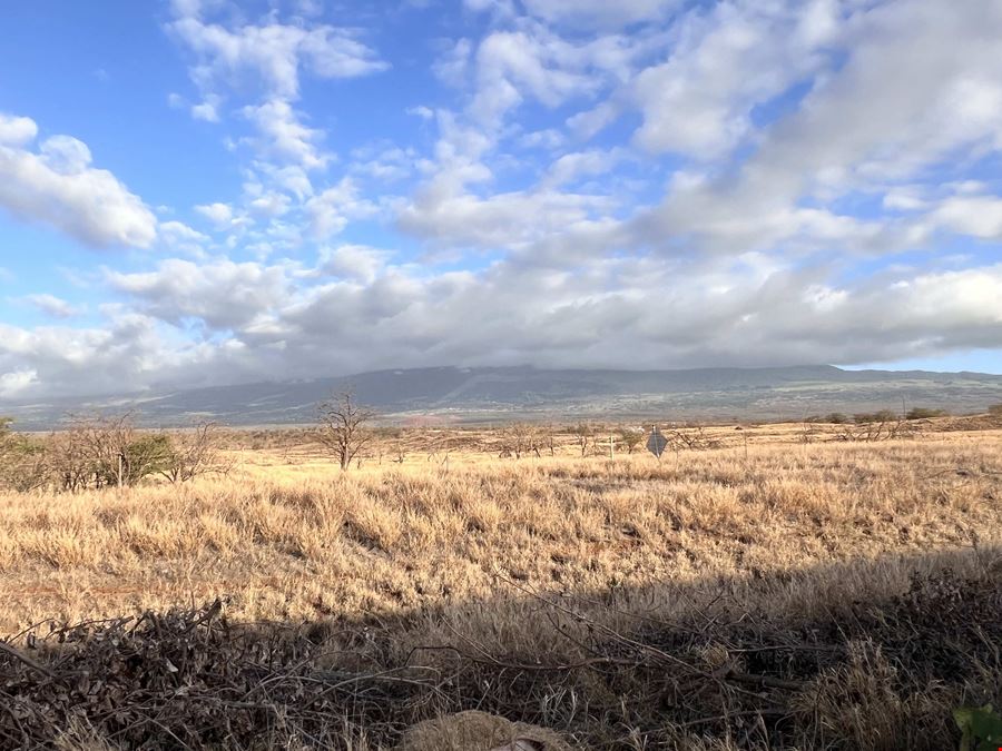 Maui Healthcare Facility