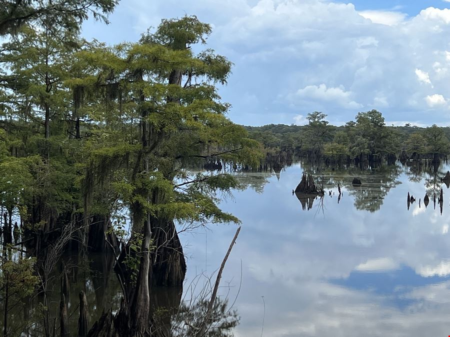 765 Acre Dead Lakes Tract Gulf County