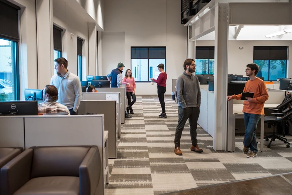 ThriveCo - Chesterfield