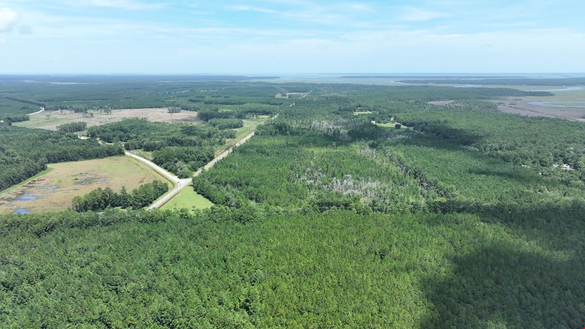 430 Development Acres in McIntosh County Georgia