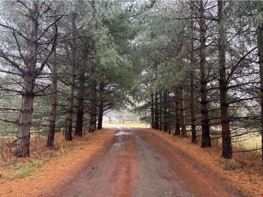 Adult Foster Care Country Setting - Grand Ledge MI
