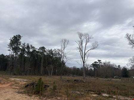 Preview of VacantLand space for Sale at HWY 445