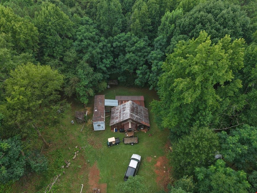 Dub Walker Rd - 314.47 Acres