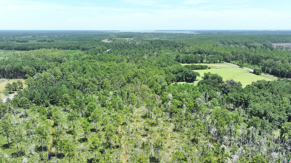 430 Development Acres in McIntosh County Georgia