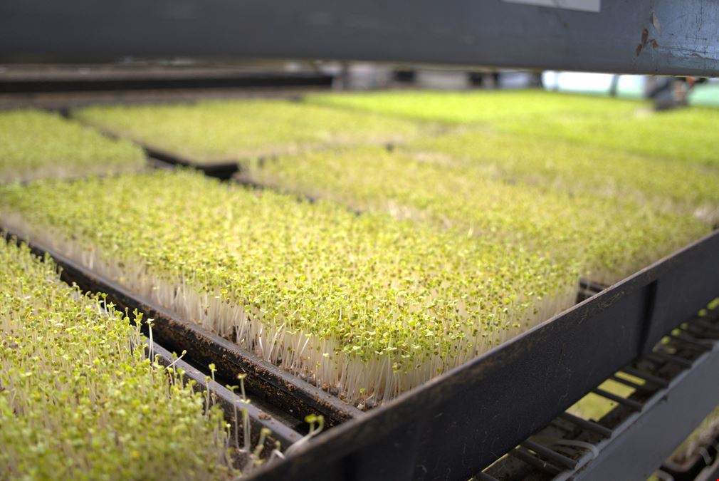 Turnkey Aquaponic Farm - Opportunity Zone