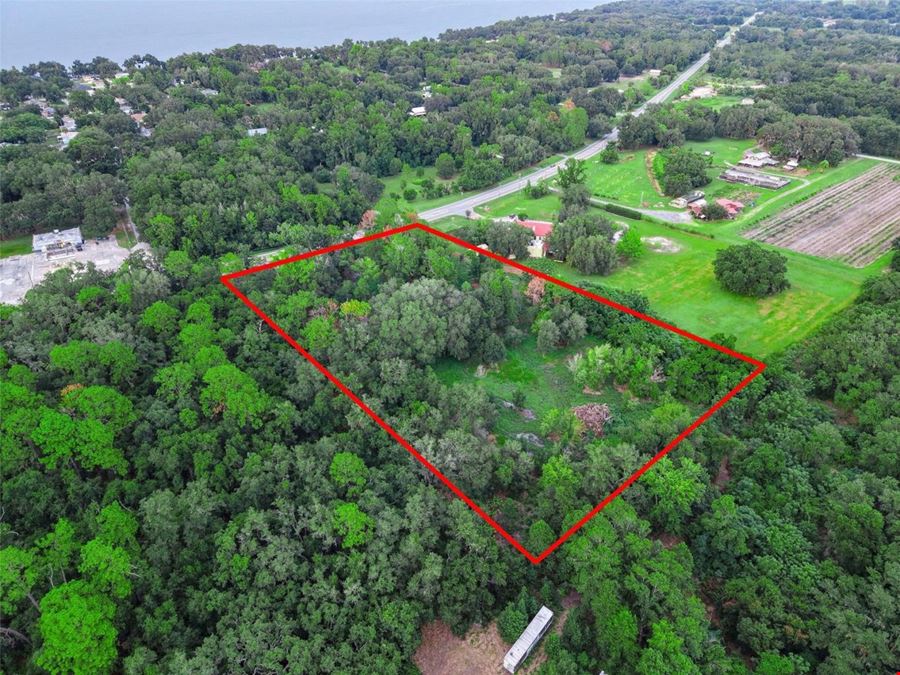 COUNTY ROAD 48 Yalaha, FL 34797