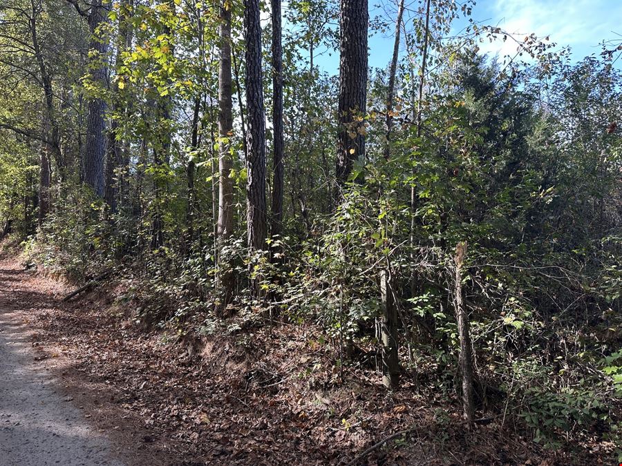 Teal Road - 21.88 Acres